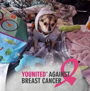 Meet your Posher, Veronica